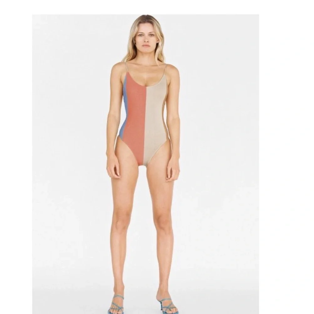 NWT ZARA SWIMSUIT WITH METALLIC THREAD STRIPED BLOGGERS FAV LARGE